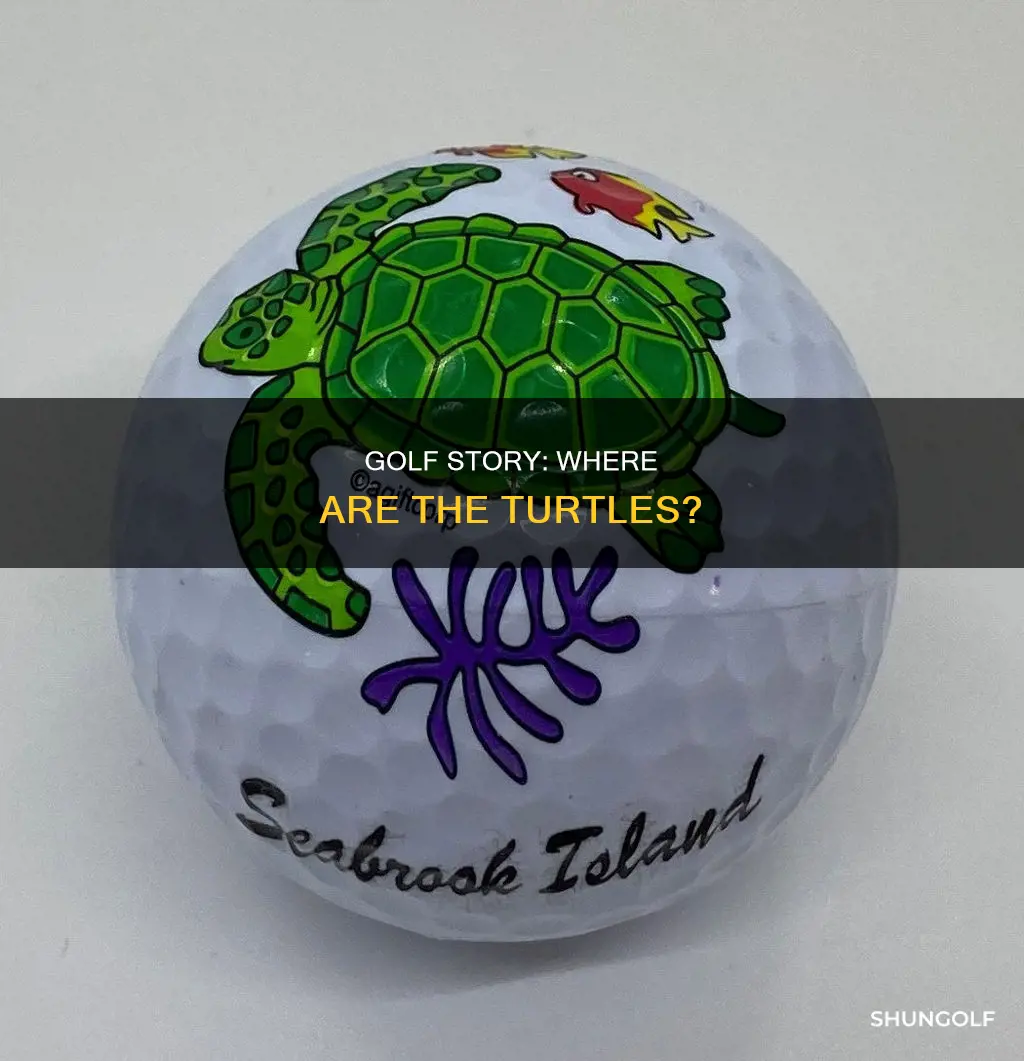 where are the turtles golf story
