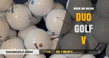 Wilson Duo Golf V: Where Are They Now?