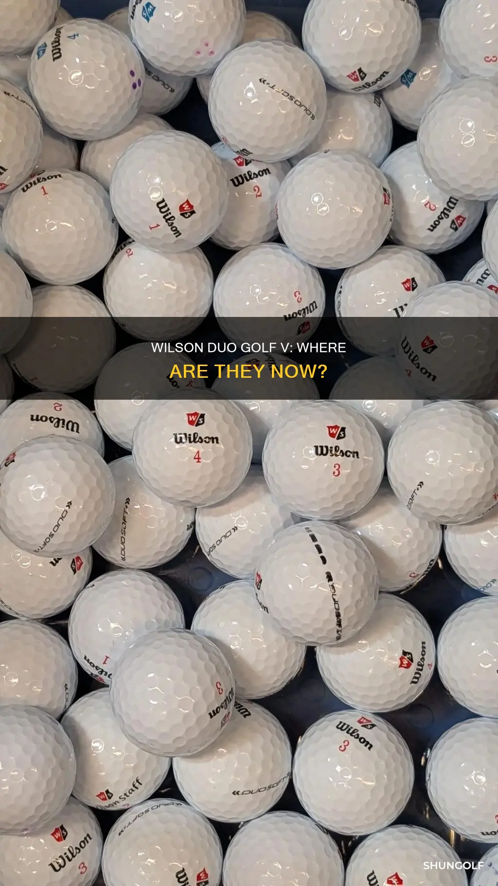where are wilson duo golf v