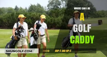 Exploring Opportunities: Where to Find Golf Caddy Jobs