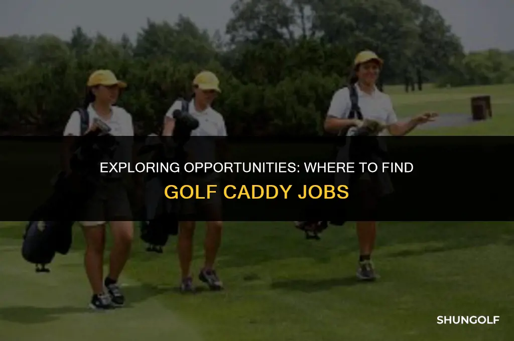 where can i be a golf caddy