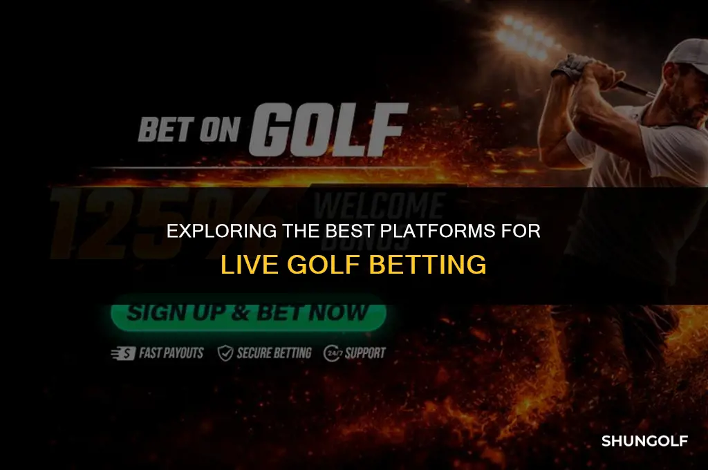 where can i bet liv golf