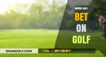Swing into Action: Top Golf Betting Sites Revealed