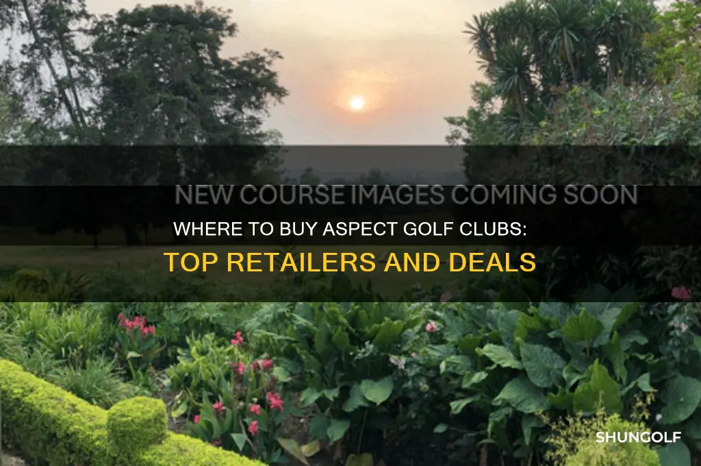 where can i buy aspect golf clubs