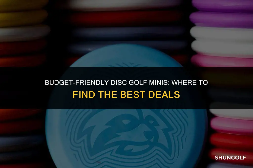 where can i buy cheap disc golf mini