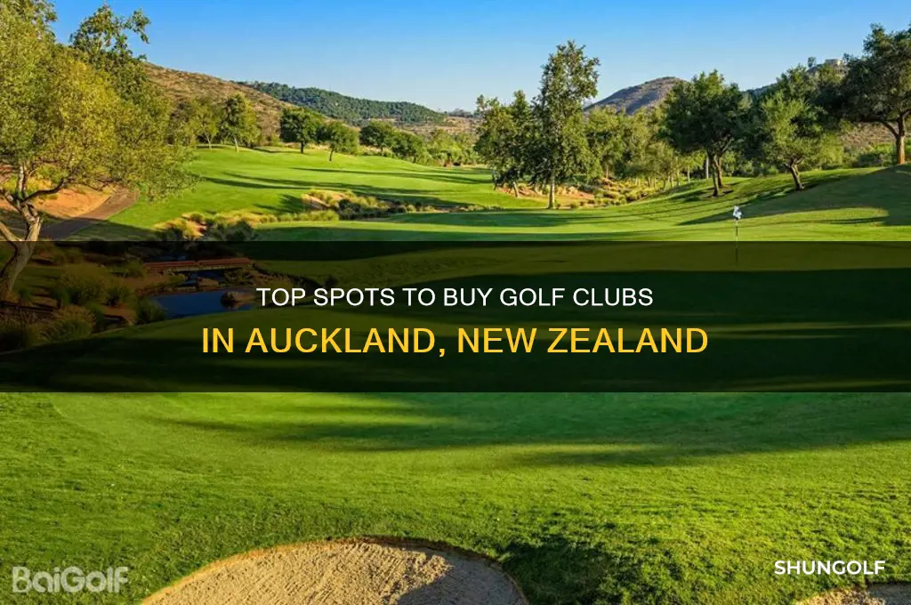 where can i buy golf clubs in auckland new zealand