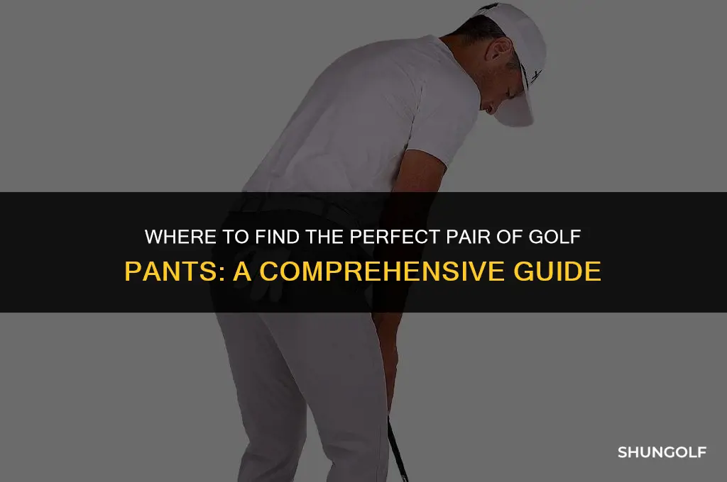 where can i buy golf pants