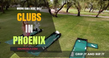 Top Phoenix Golf Club Rentals: Where to Rent Clubs Easily
