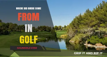 Unraveling the Mystery: The Surprising Origins of 'Birdie' in Golf