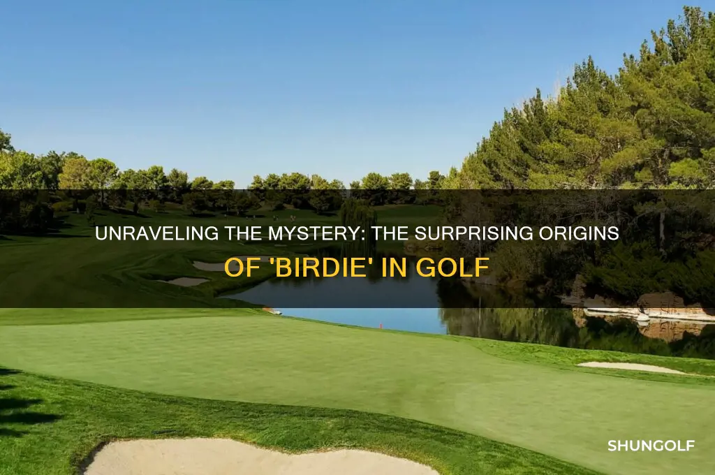 where did birdie come from in golf