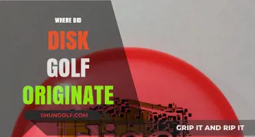 The Evolution of Disk Golf: Its Origin Story