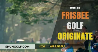 The Evolution of Frisbee Golf: Its Origin and History