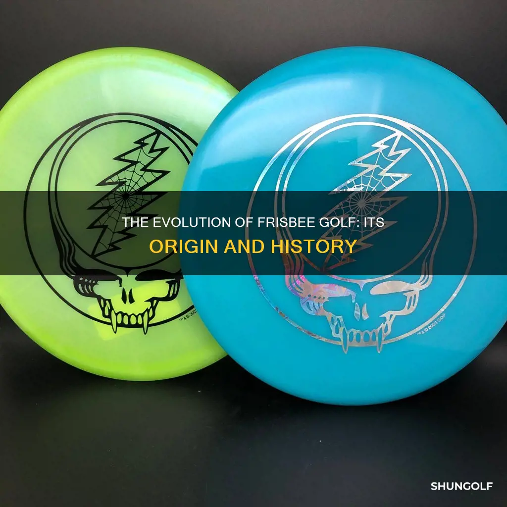 where did frisbee golf originate