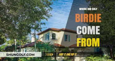 The Golf Birdie's Origin Story
