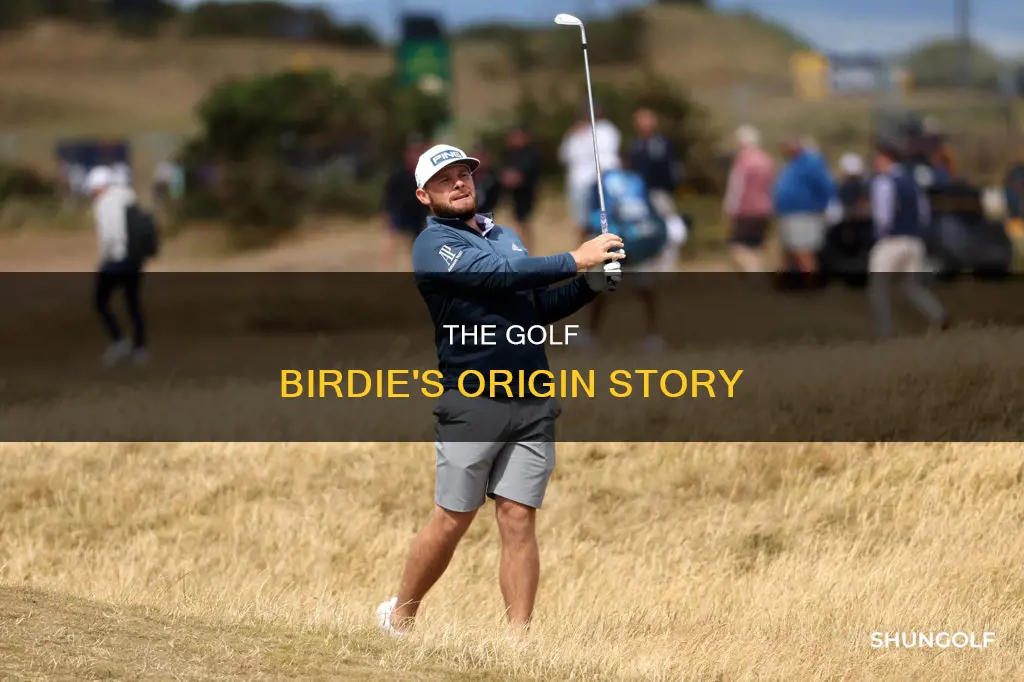 where did golf birdie come from