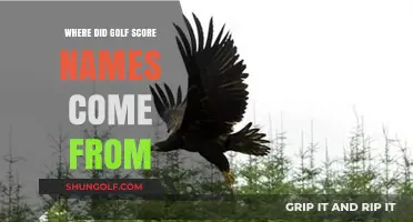 Origins of Golf Score Names: Unraveling the History Behind the Terms