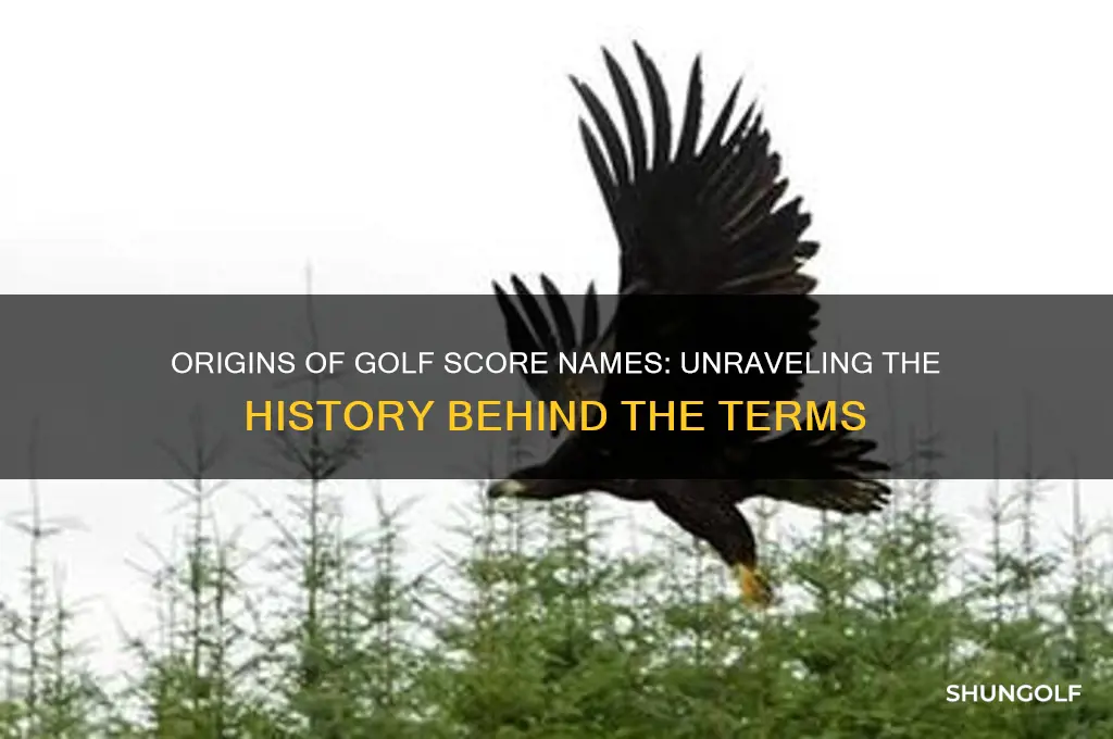 where did golf score names come from