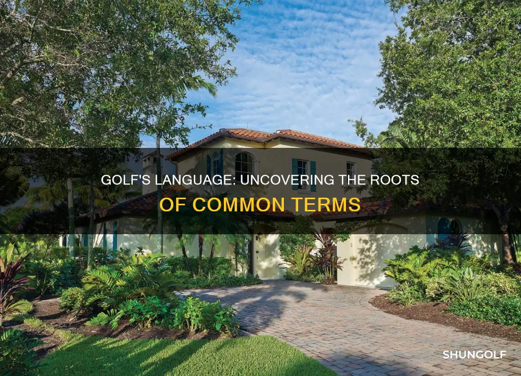 where did golf terms come from