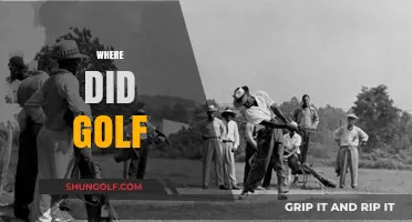 The Ancient Origins of Golf: A Historical Hole-in-One