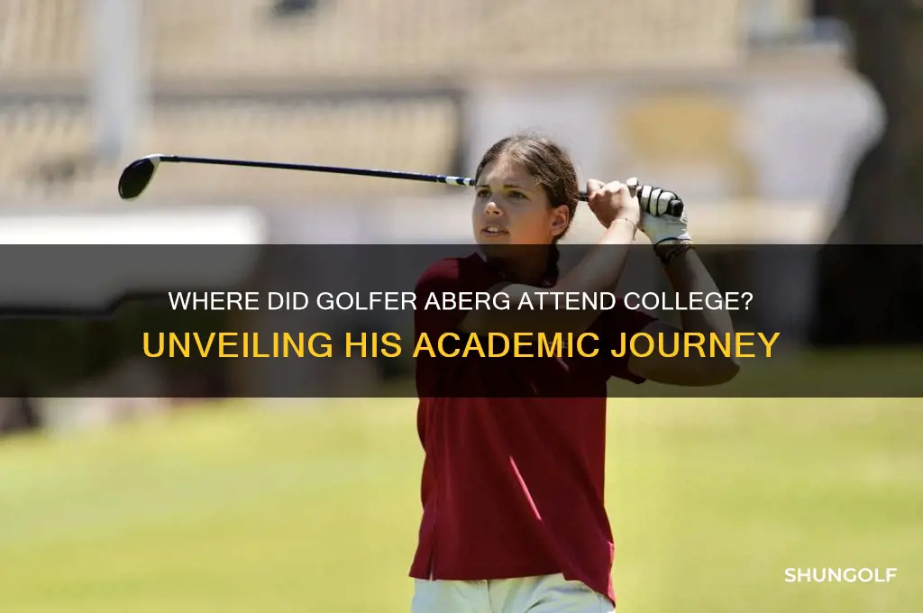 where did golfer aberg go to college