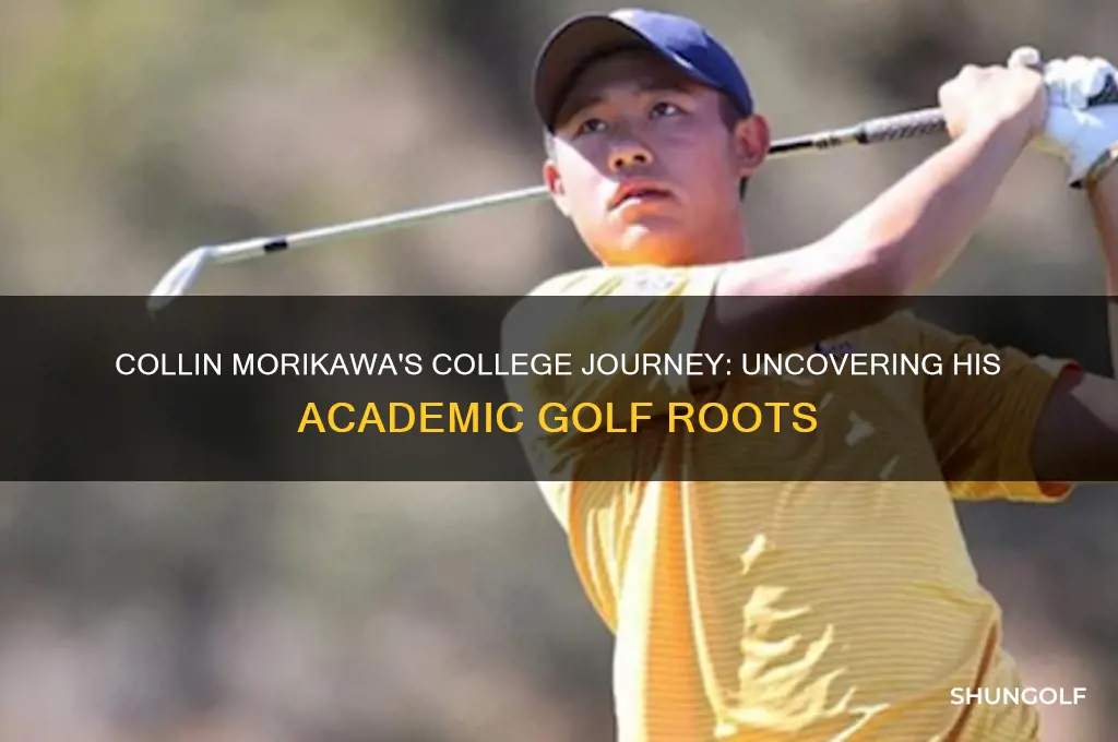 where did golfer collin morikawa go to college