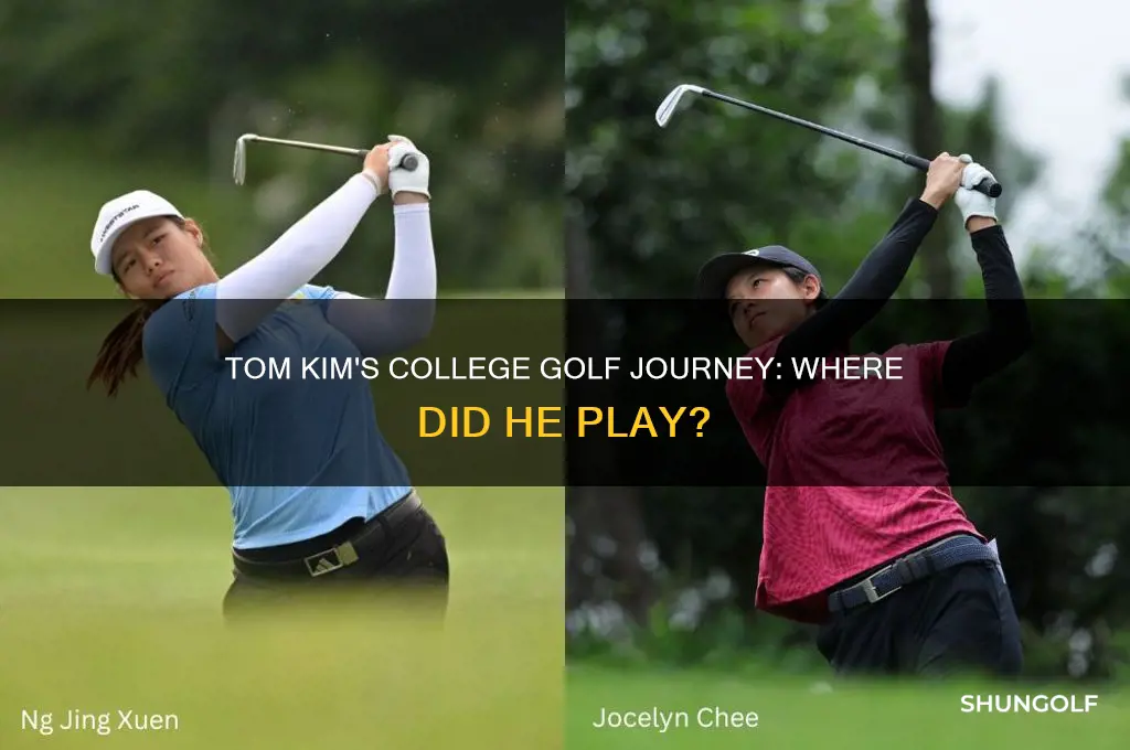 where did golfer tom kim go to college
