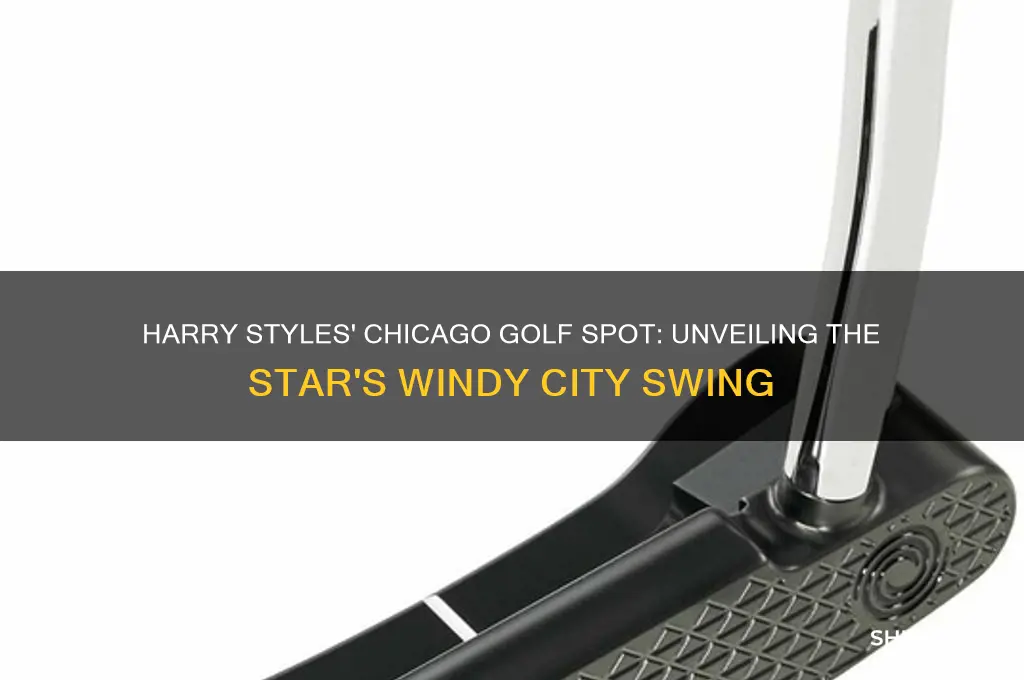where did harry styles golf in chicago