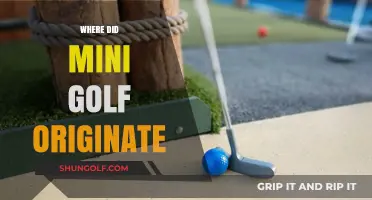 The Evolution of Mini Golf: A Historical Perspective