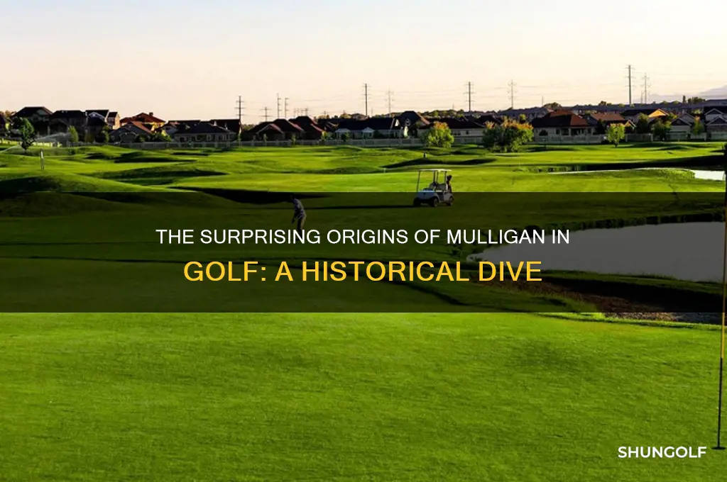 where did mulligan come from in golf