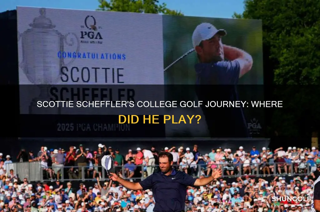 where did scottie scheffler play college golf