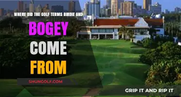 Birdie and Bogey Origins: Uncovering Golf's Scoring Terms History
