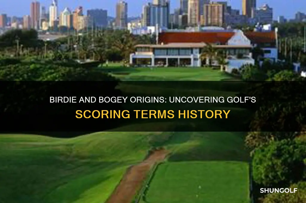 where did the golf terms birdie and bogey come from