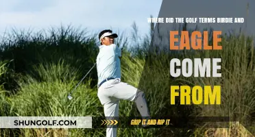 Origins of Birdie and Eagle: Uncovering Golf's Scoring Terms History