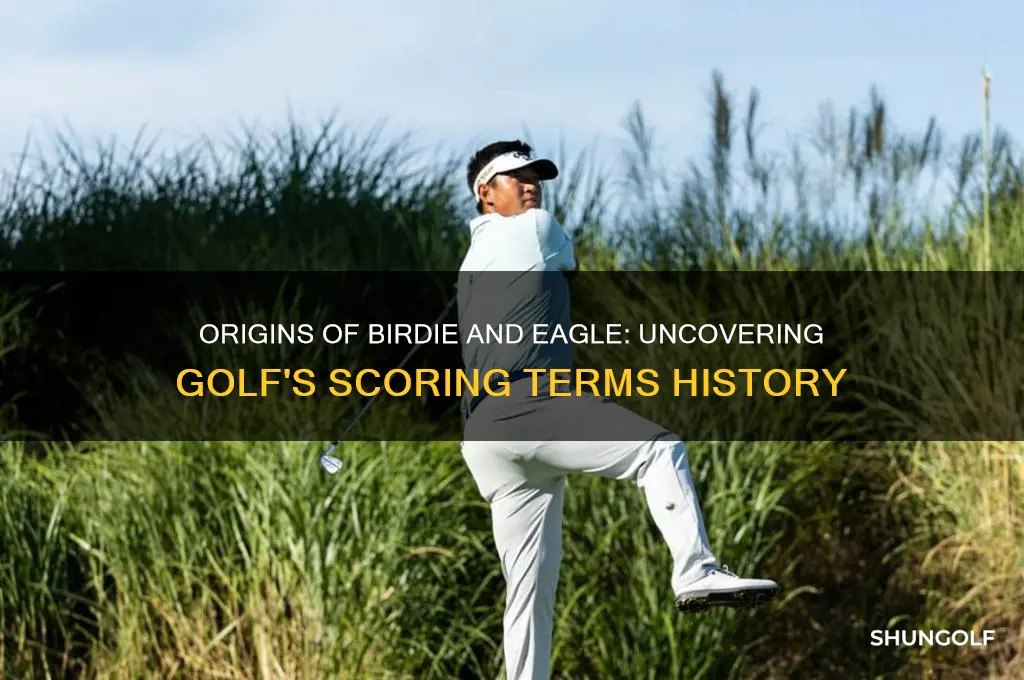 where did the golf terms birdie and eagle come from