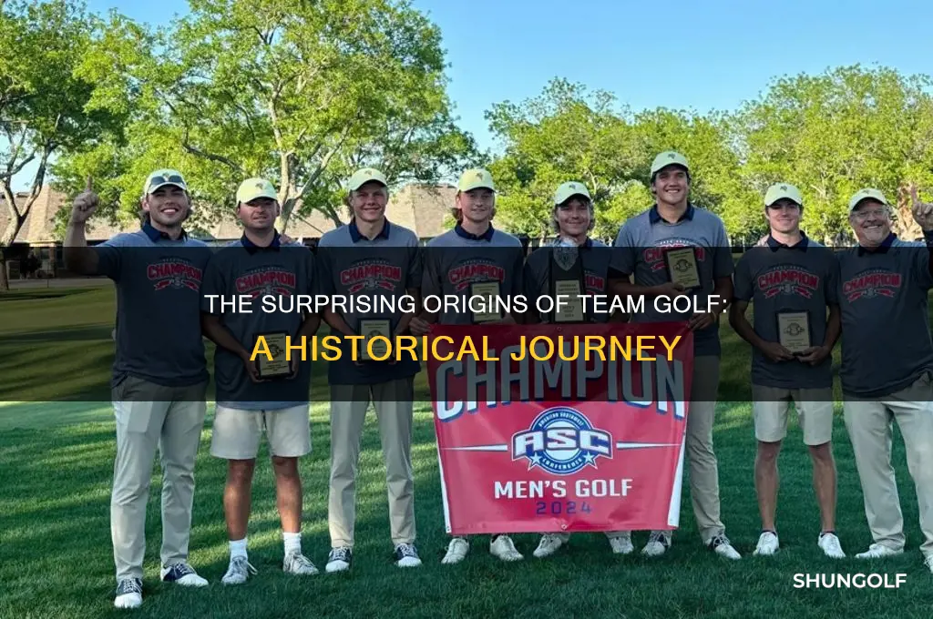where did the teem golf come from