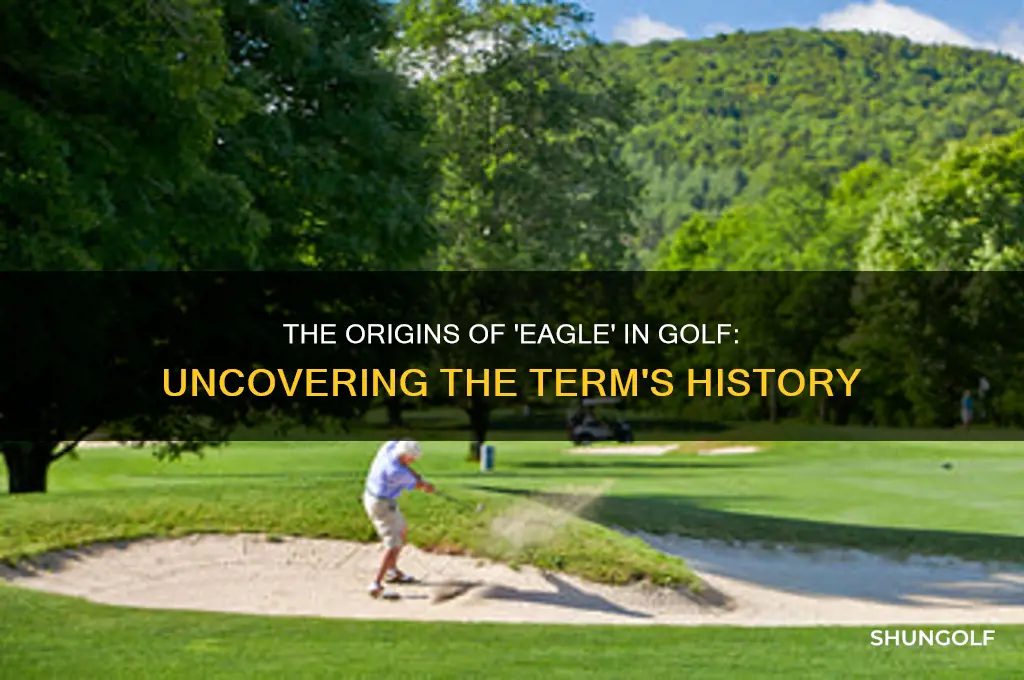 where did the term eagle come from in golf
