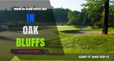 Discovering Oak Bluffs' Hidden Gem: Golf Courses for Black Golfers