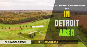 Detroit's Top Golf Courses: Where Prominent African Americans Play