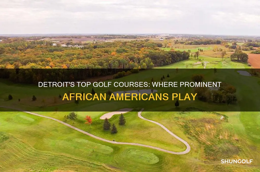 where do prominent african americans golf in detroit area