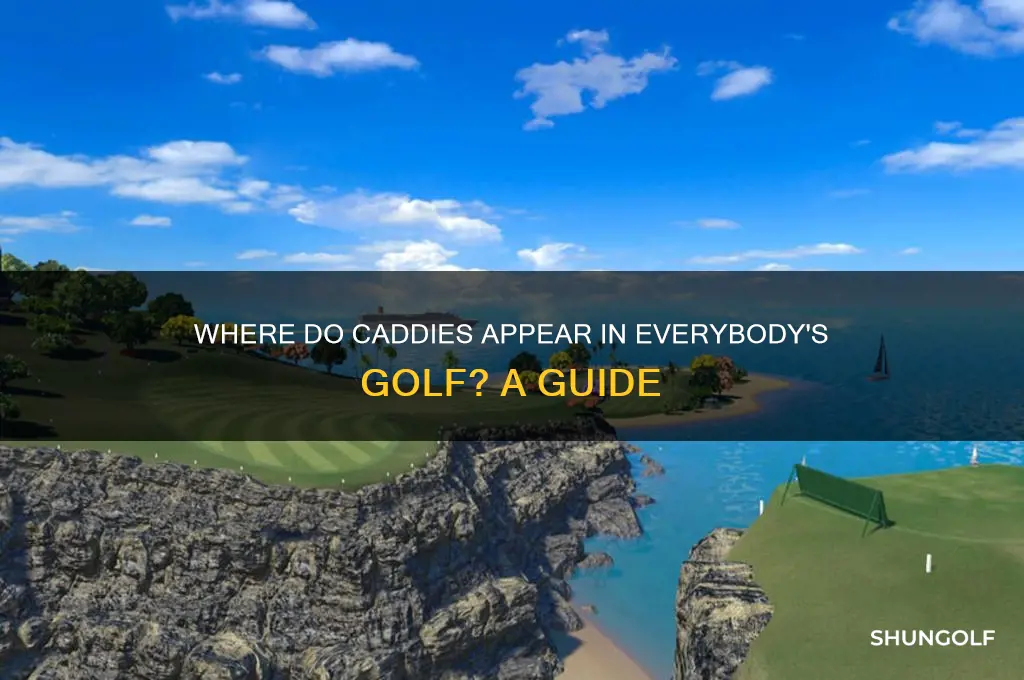 where do the caddies appear everybodys golf