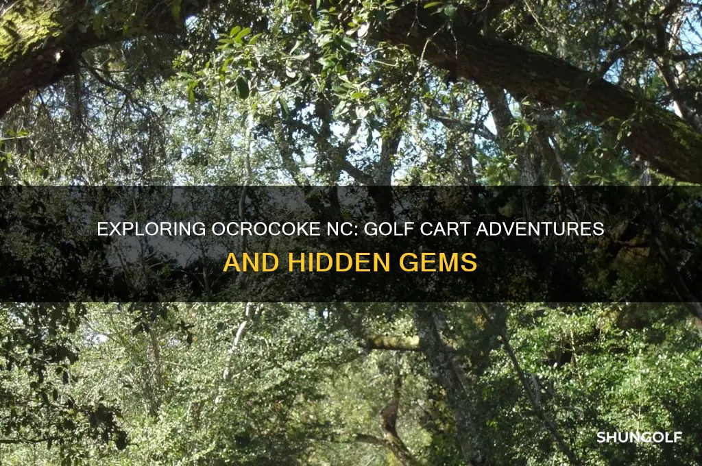where do you go with golf cards in ocracoke nc