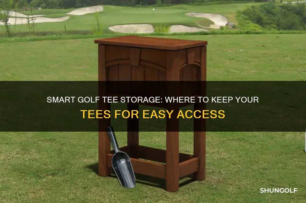 where do you keep your golf tees
