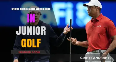 Rising Star: Charlie Woods' Current Standing in Junior Golf Rankings