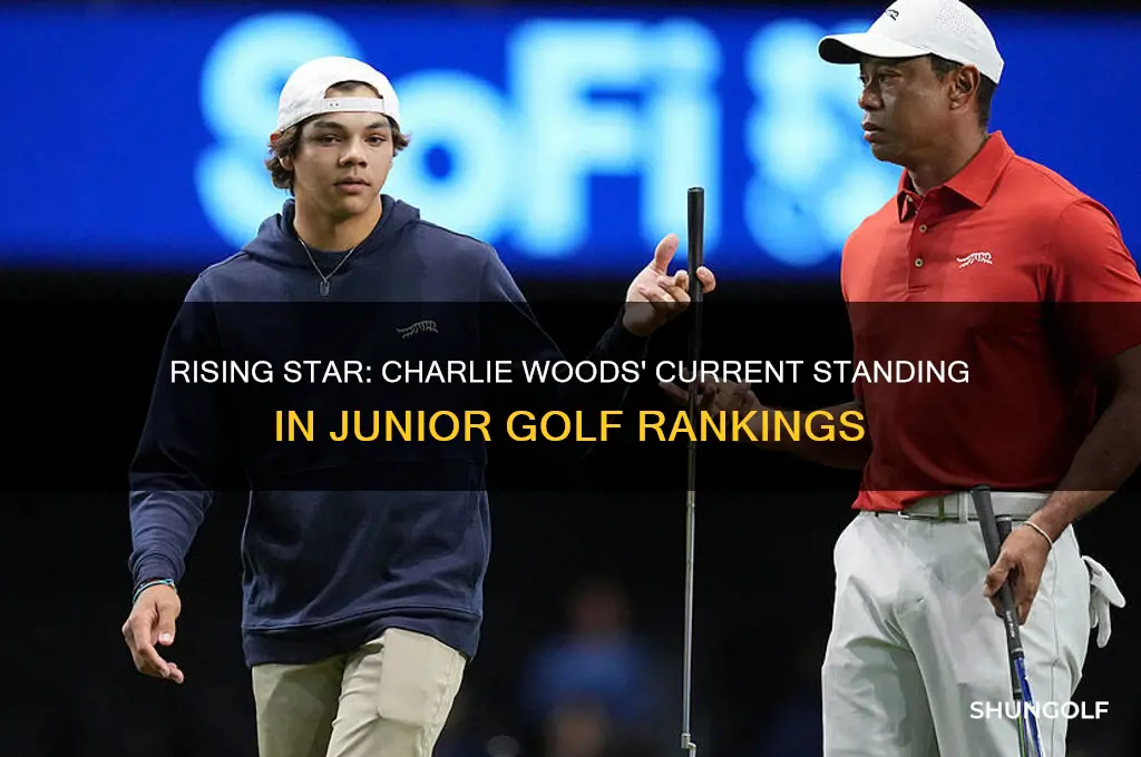 where does charlie woods rank in junior golf
