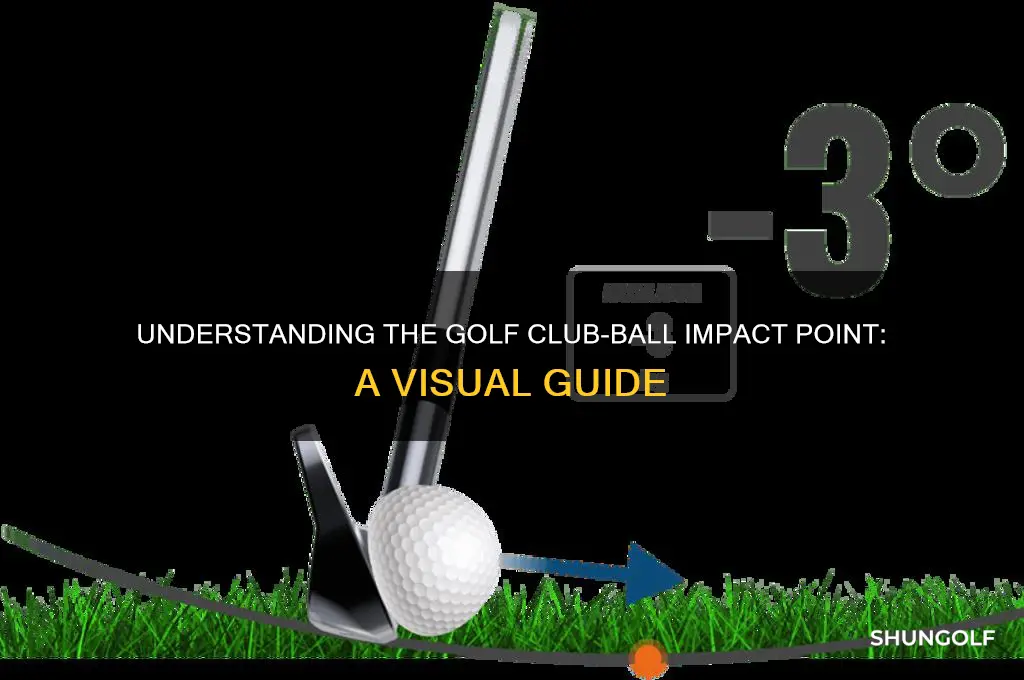 where does golf club strike the ball diagram