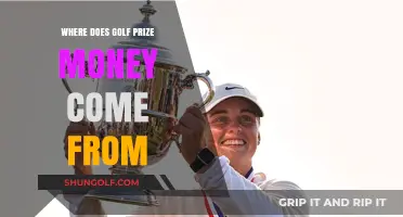 Unveiling Golf's Wealth: Sources of Prize Money in Professional Tournaments