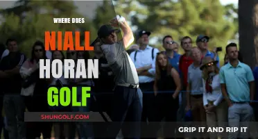 Niall Horan's Golfing Destinations: Where Does He Swing?