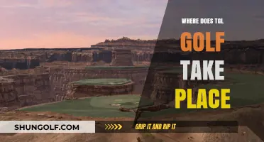 TGL Golf: Where the Pros Compete Globally