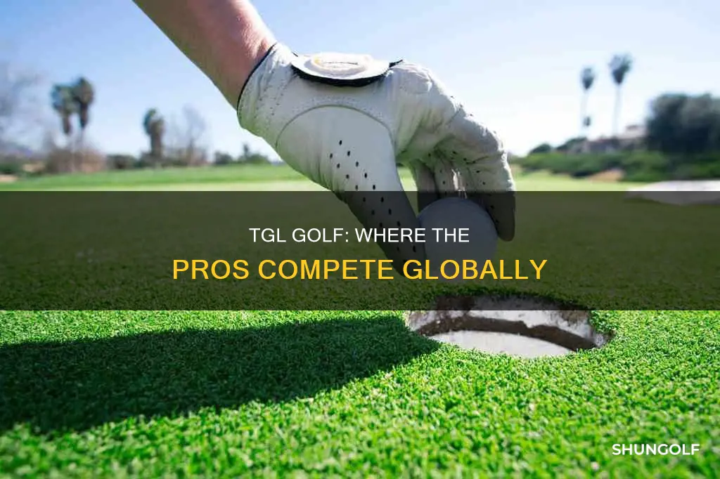 where does tgl golf take place