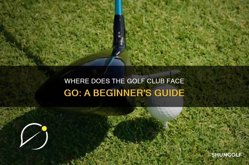 where does the face of the golf club go